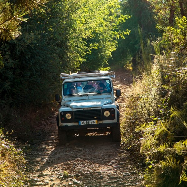 Jeeptour auf der Blumeninsel