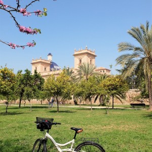 Sportlich durch Valencia: Geführte Fahrradtour & Stadtrundgang