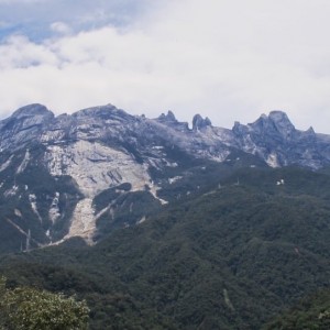 Besuch des Kinabalu Nationalparks