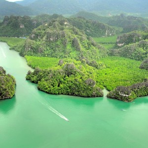 Mangrovenwälder und exotische Tierwelt per Boot entdecken