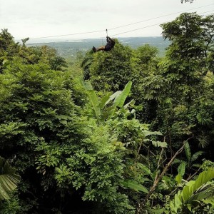 Tortuguero Kanäle & Ziplining durch den Dschungel