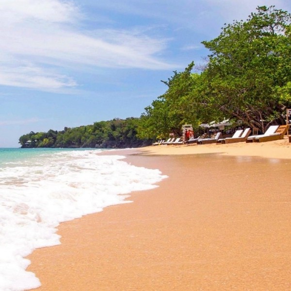 Tropische Vegetation & Badespaß