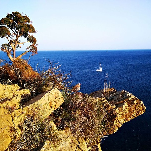 Stadtrundfahrt Athen & Kap Sounion