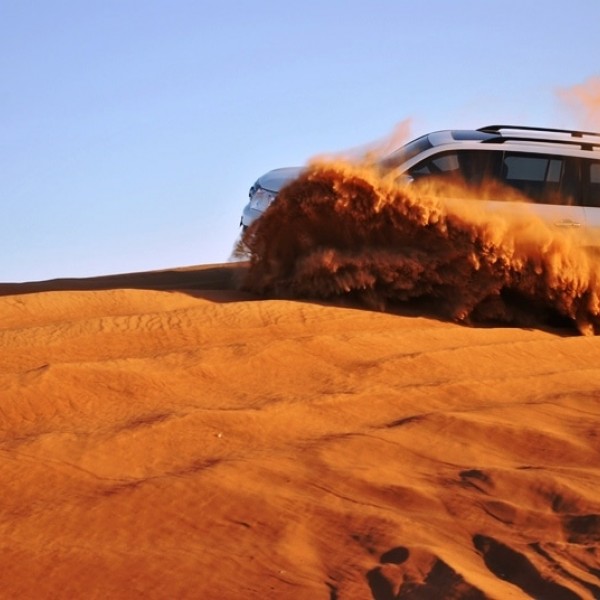 Abenteuertrip: Wüstensafari