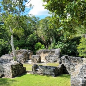 Erkundung der Maya-Stätte Kohunlich