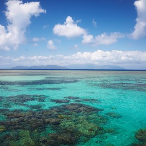 Zu Besuch am berühmten Great Barrier Reef auf Green Island
