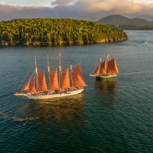 Segelbootsfahrt mit Blick auf den Acadia Nationalpark
