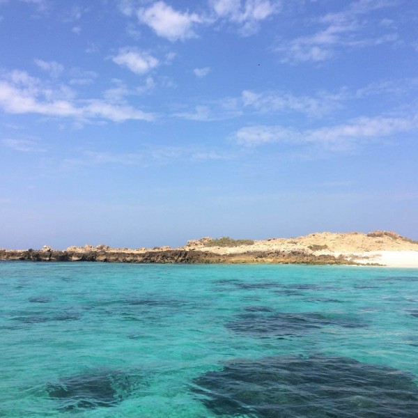 Paradiesischer Schnorchelausflug nach Dimaniyat Island