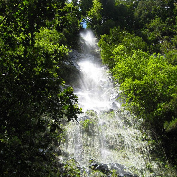 Ganztagswanderung entlang von malerischen Levadas und Wasserfällen