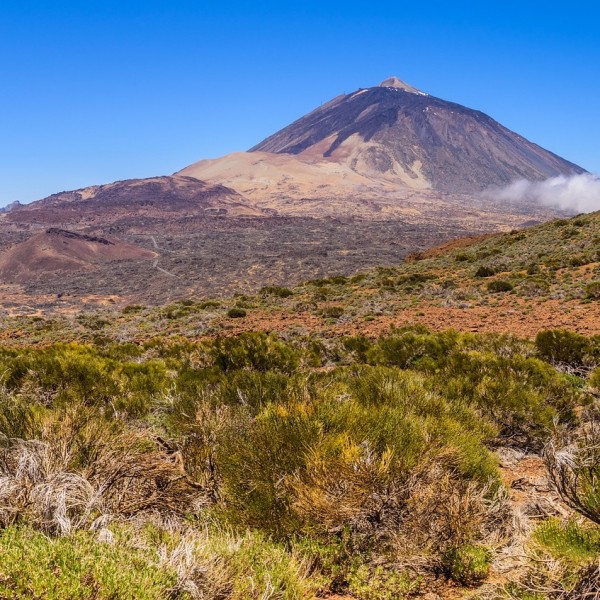Inselhighlights: Spaziergang im Teide Nationalpark und durch La Orotava