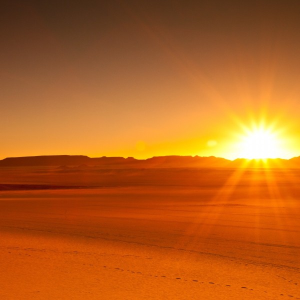 Wüstensafari bei Sonnenaufgang