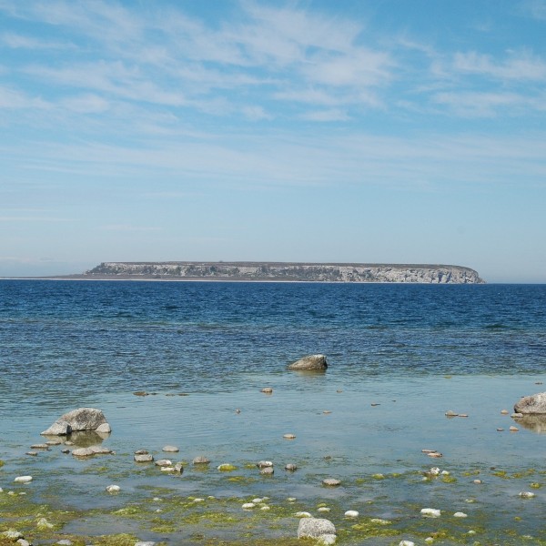 Privatausflug: Erkundung der eindrucksvollen Westküste von Gotland