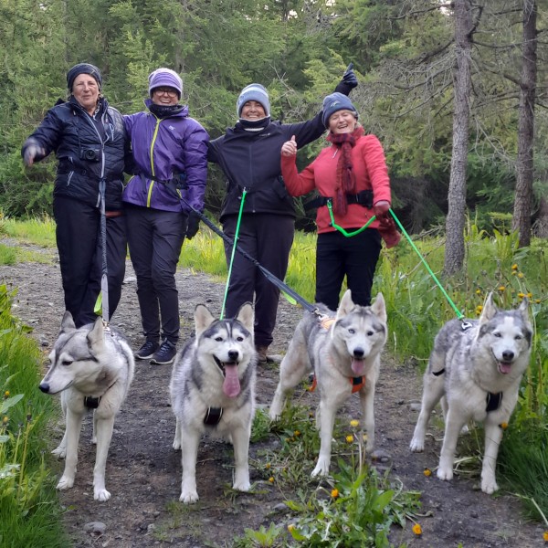 Wanderung mit Huskys