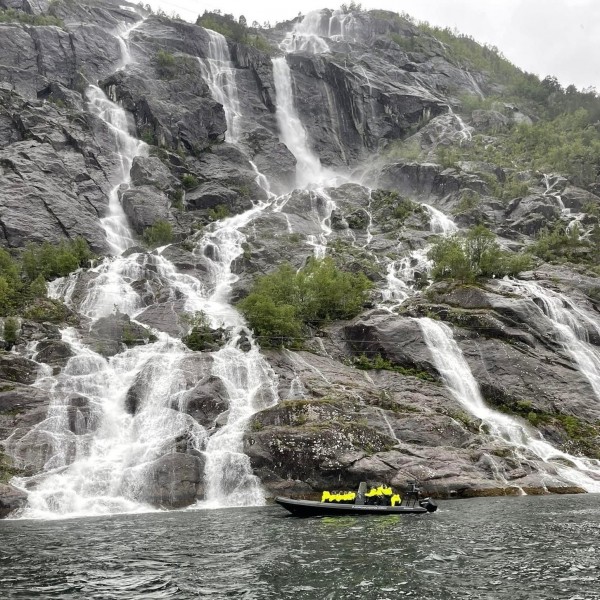 RIB-Safari auf dem Nordfjord