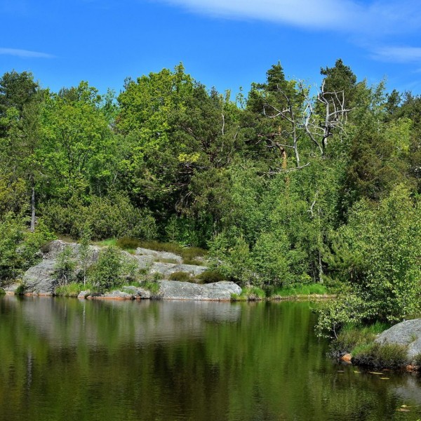 Grünes Kristiansand: Spaziergang durch die Naturparks Baneheia & Ravnedalen