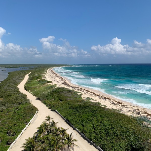 Der Süden von Cozumel: Erkundungstour durch den Punta Sur Park