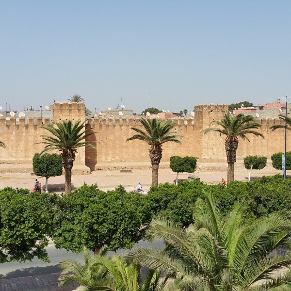 Historisches Taroudant & Palmenoase Tiout