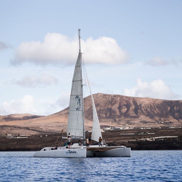 Delfin-Safari: Mit dem Katamaran in den Sonnenuntergang