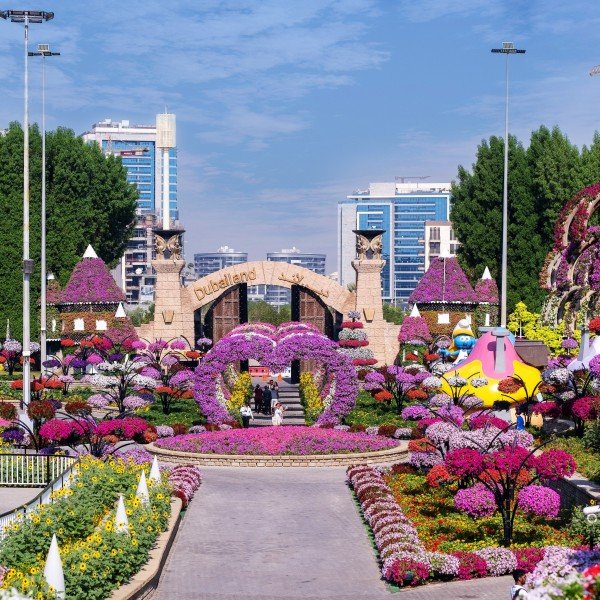 Blütenpracht in der Wüste: Zu Besuch im Miracle Garden