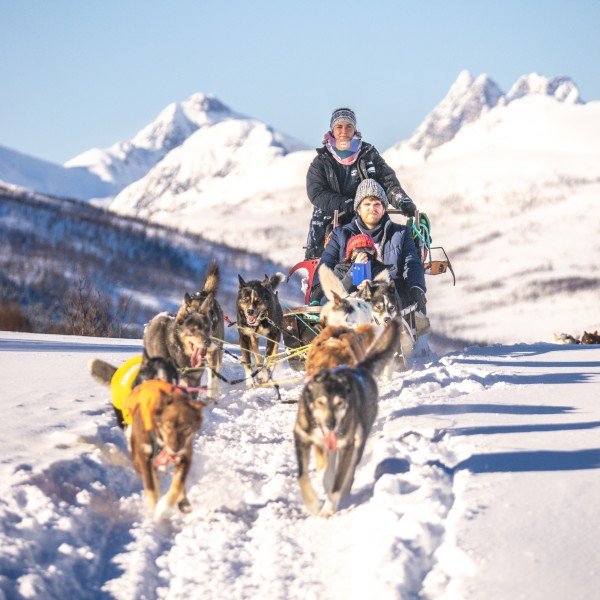 Entspannte Husky-Schlittenfahrt durch winterliche Landschaften