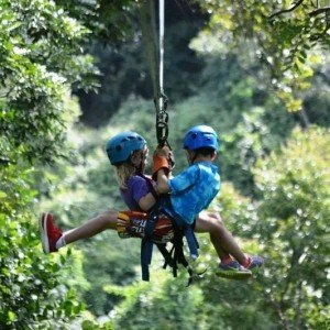 Landausflug: Roatán intensiv: Zipline-Abenteuer, Tierwelten & Strandaufenthalt