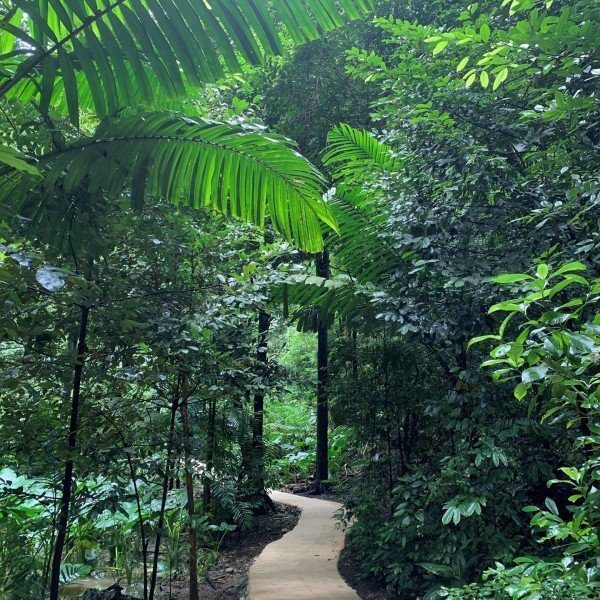 Die perfekte Kombi: Grünes Barbados & Strandaufenthalt