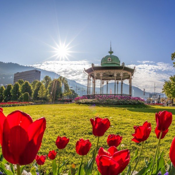 Bergen die ultimative Stadtrundfahrt