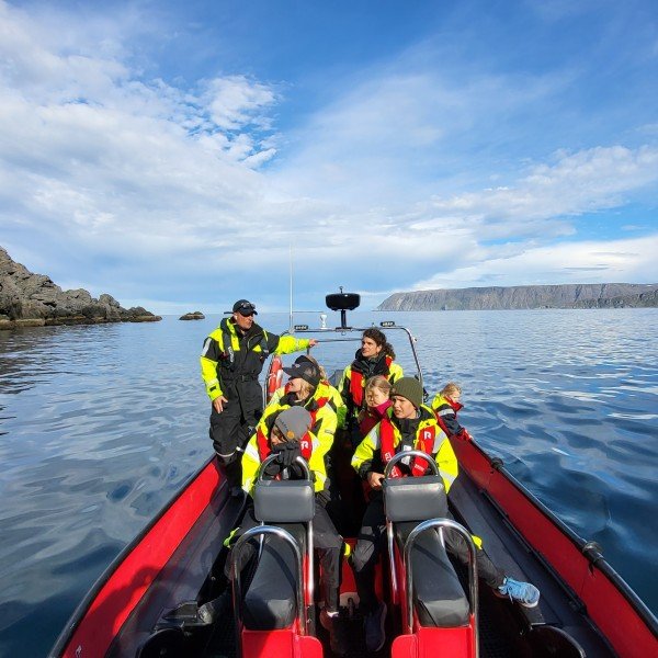 Kleinste Gruppe – größtes Erlebnis: Königskrabben- & RIB-Safari