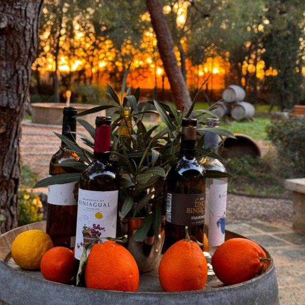 Mallorcas Weinanbau: Kulinarische Erkundungstour mit Weinverkostungen