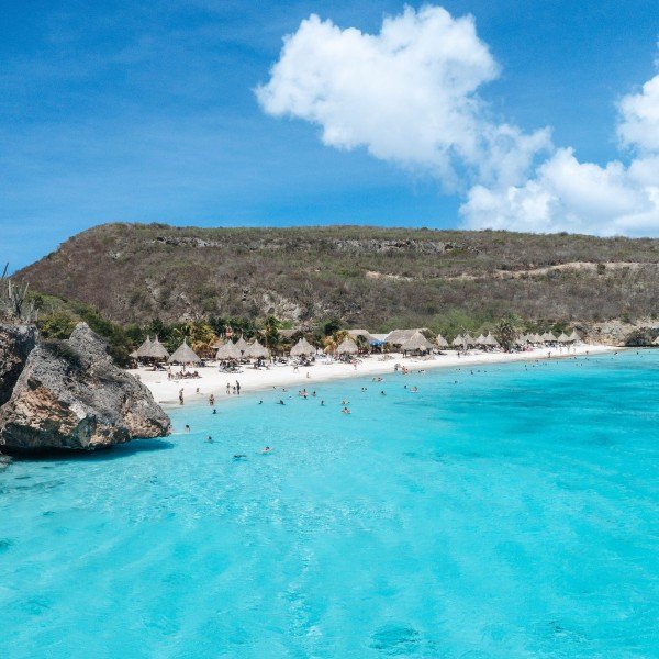 Meeresschildkröten und Strandvergnügen