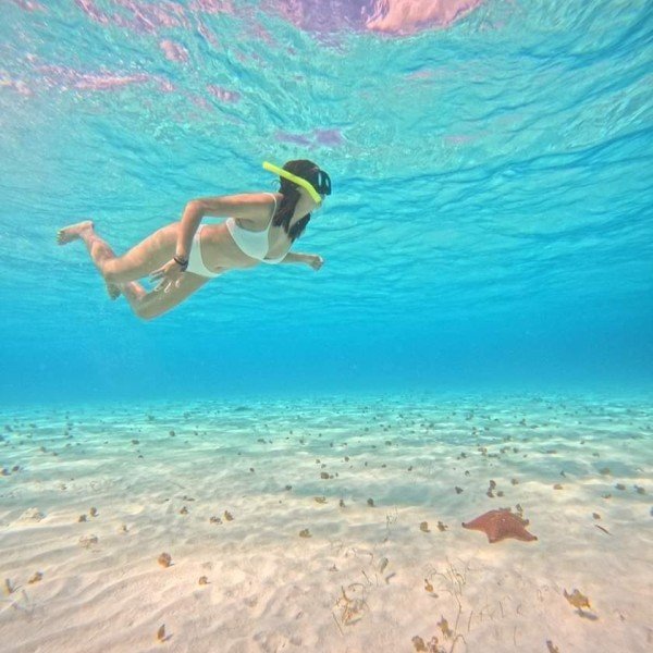 Cozumels Unterwasserwelten: Schnorcheltour zu Riffen, Seesternen und Schildkröten