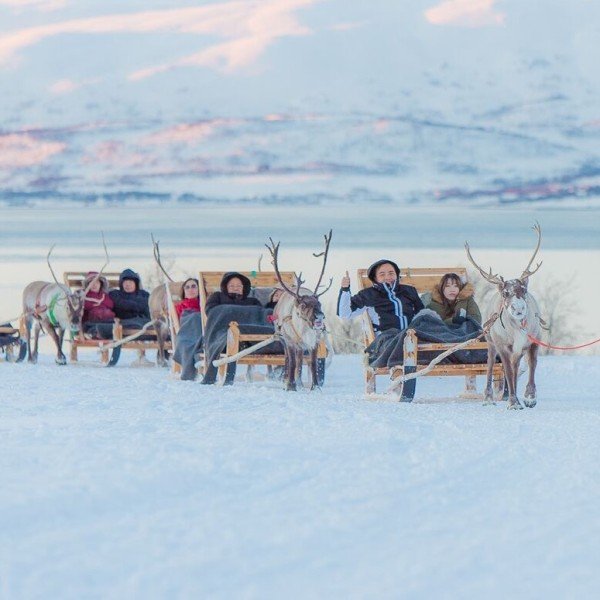 Rentier-Schlittenfahrt & Kultur der Samen
