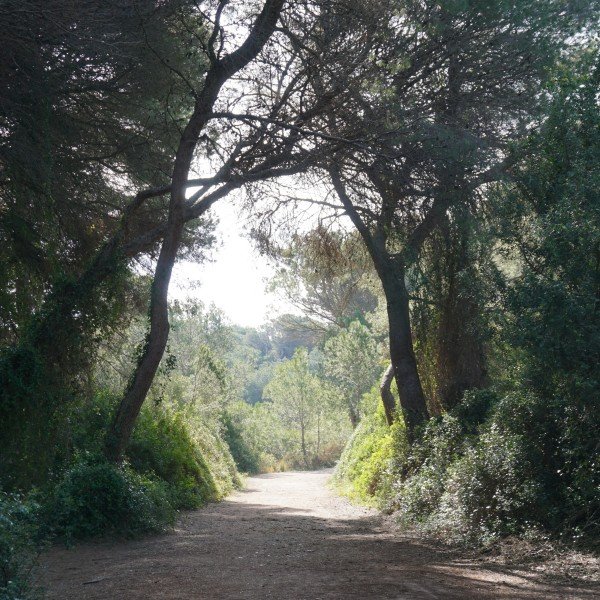 Naturpark L’Albufera und die Stadt der Künste und Wissenschaften