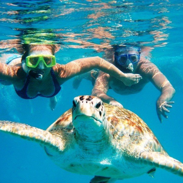 Schnorchelabenteuer: Bootsfahrt zu Schildkröten, Schiffswracks und Strand