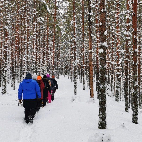 Kleinste Gruppe – größtes Erlebnis: Lahemaa-Nationalpark-Wanderung zu 3 Wasserfällen