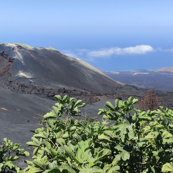 Vulkanwanderung am neuen Vulkan Tajogaite