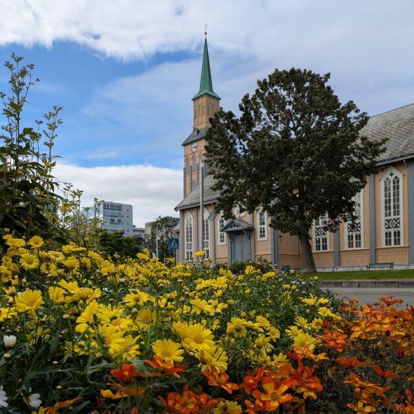 Kleinste Gruppe – größtes Erlebnis: Stadtspaziergang durch Tromsø mit süßer Spezialität