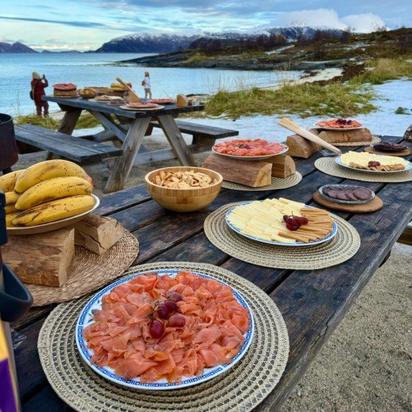 Fjorde und Sommarøy-Insel mit nordischem Picknick