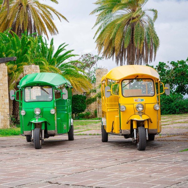 Tuk Tuk Tour Spezial: English Harbour, Strand & Craftbeer