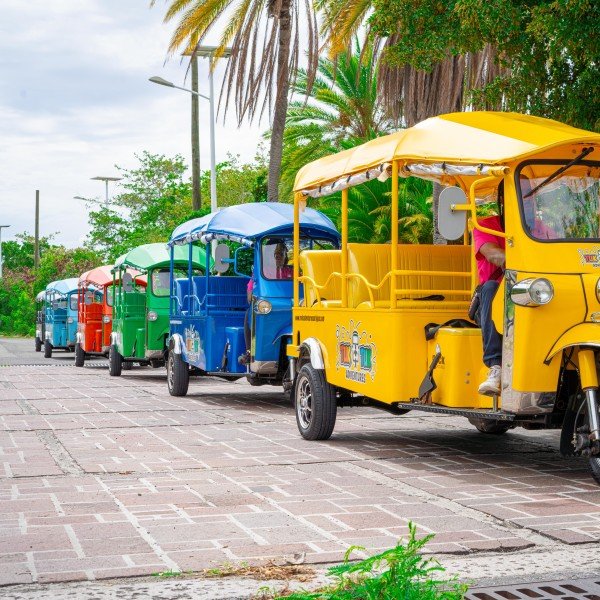 Tuk Tuk Inselrundfahrt: Regenwald & Strand-Hopping auf Antigua