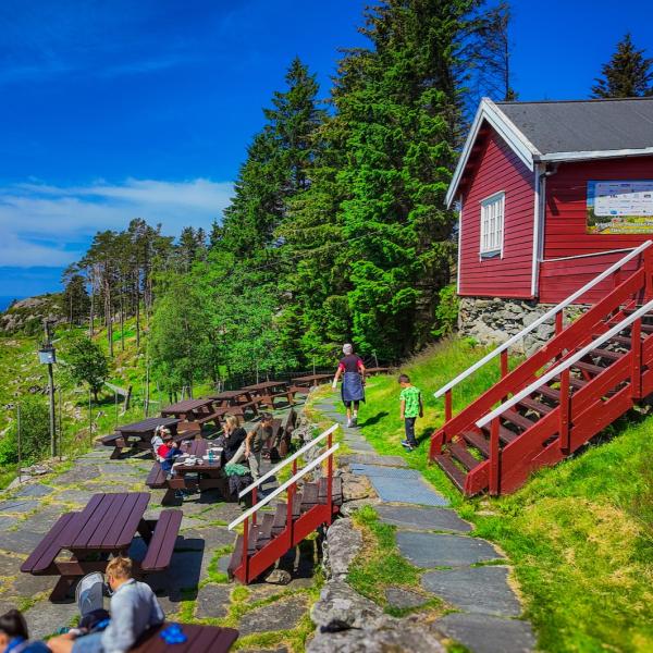 Natur & Kultur: Kringsjå Farm & ikonische Sehenswürdigkeiten