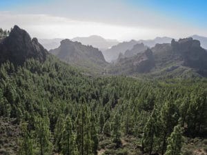 Gran Canaria-Landausflüge: Im Landesinneren finden sich spektakuläre Landschaften.