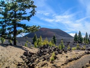 Teneriffa-Landausflüge: Wundervolle Vulkanlandschaft auf Teneriffa