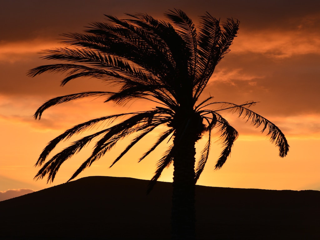 Landausflüge auf Fuerteventura: Malerischer Sonnenuntergang auf Fuerteventura