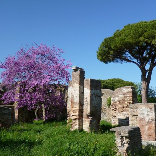 Landausflug in Civitavecchia: Geschichtsträchtige archäologische Überreste in Ostia