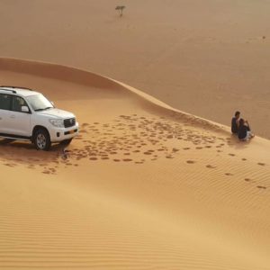 Landausflug in Muscat: Spuren im Sand...finden Sie auf Ihrer Wüstensafari im Oman