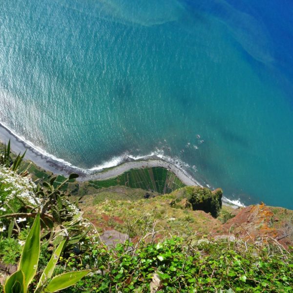 Top 6 Landausflüge Auf Madeira Funchal Ab 24 Meine