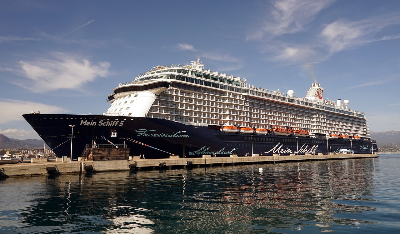 Die Mein Schiff 5 im Hafen