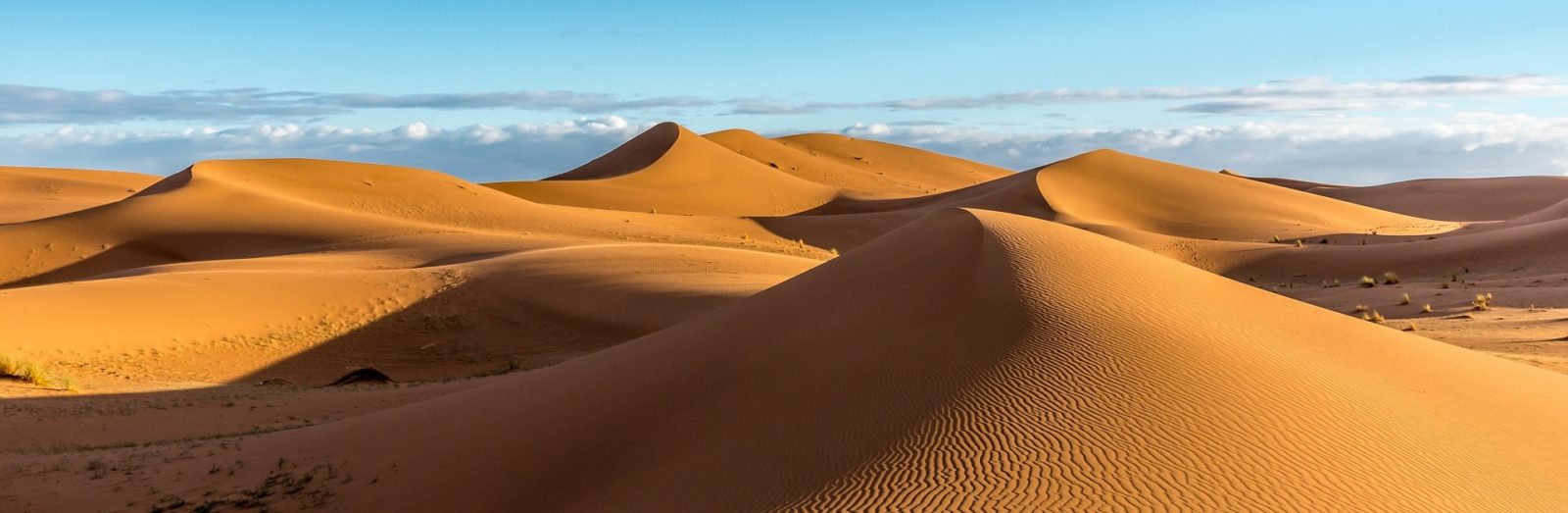 Landausflüge in Afrika