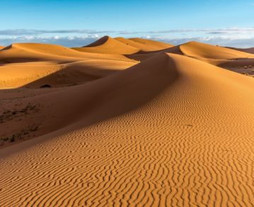 Landausflüge in Afrika